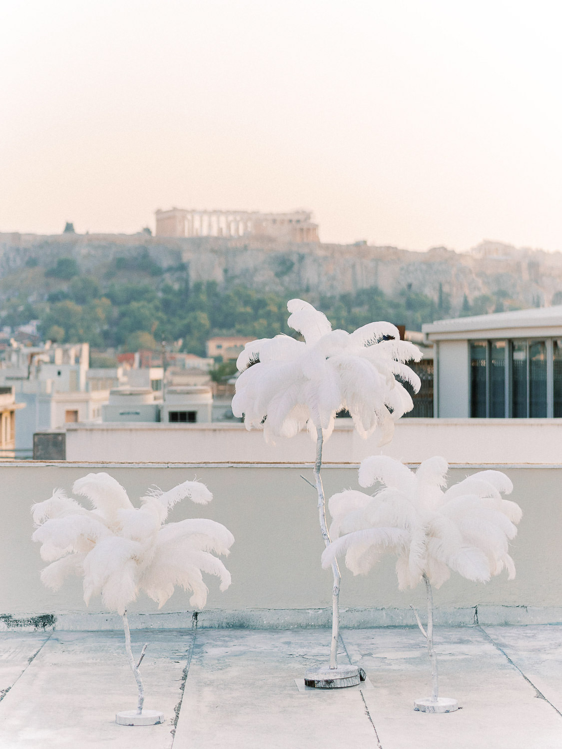 Feather Tree in front of Akropolis Wedding